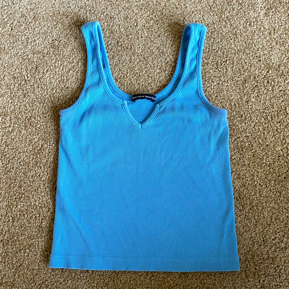 Blue Brandy Melville Crop Tank Top